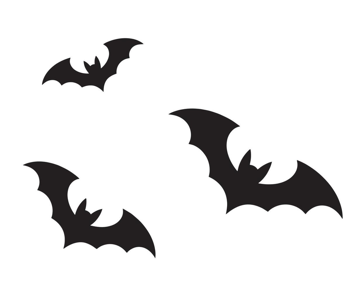 bat silhouette on white background vector