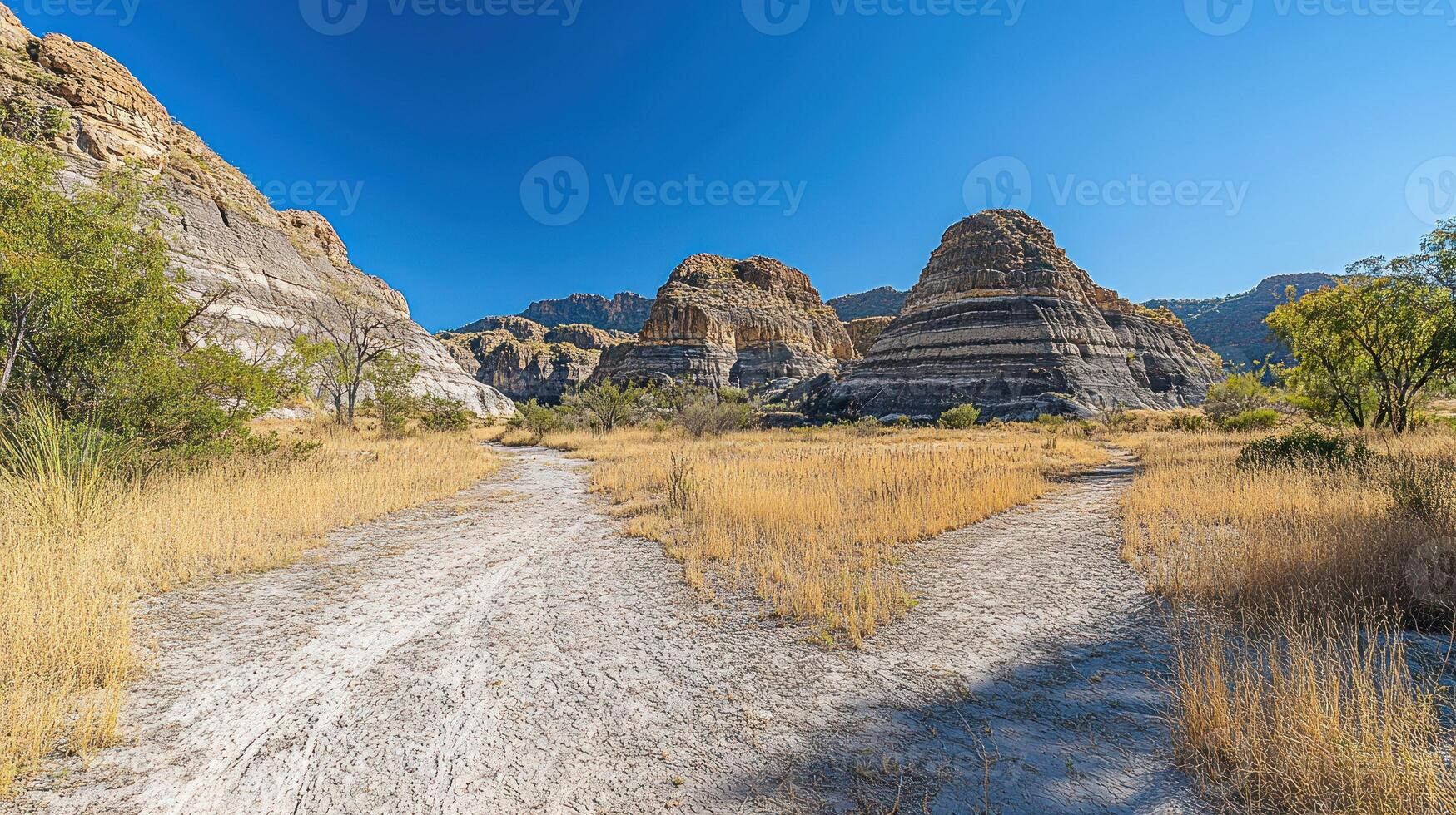 A dirt road in the middle of a field photo