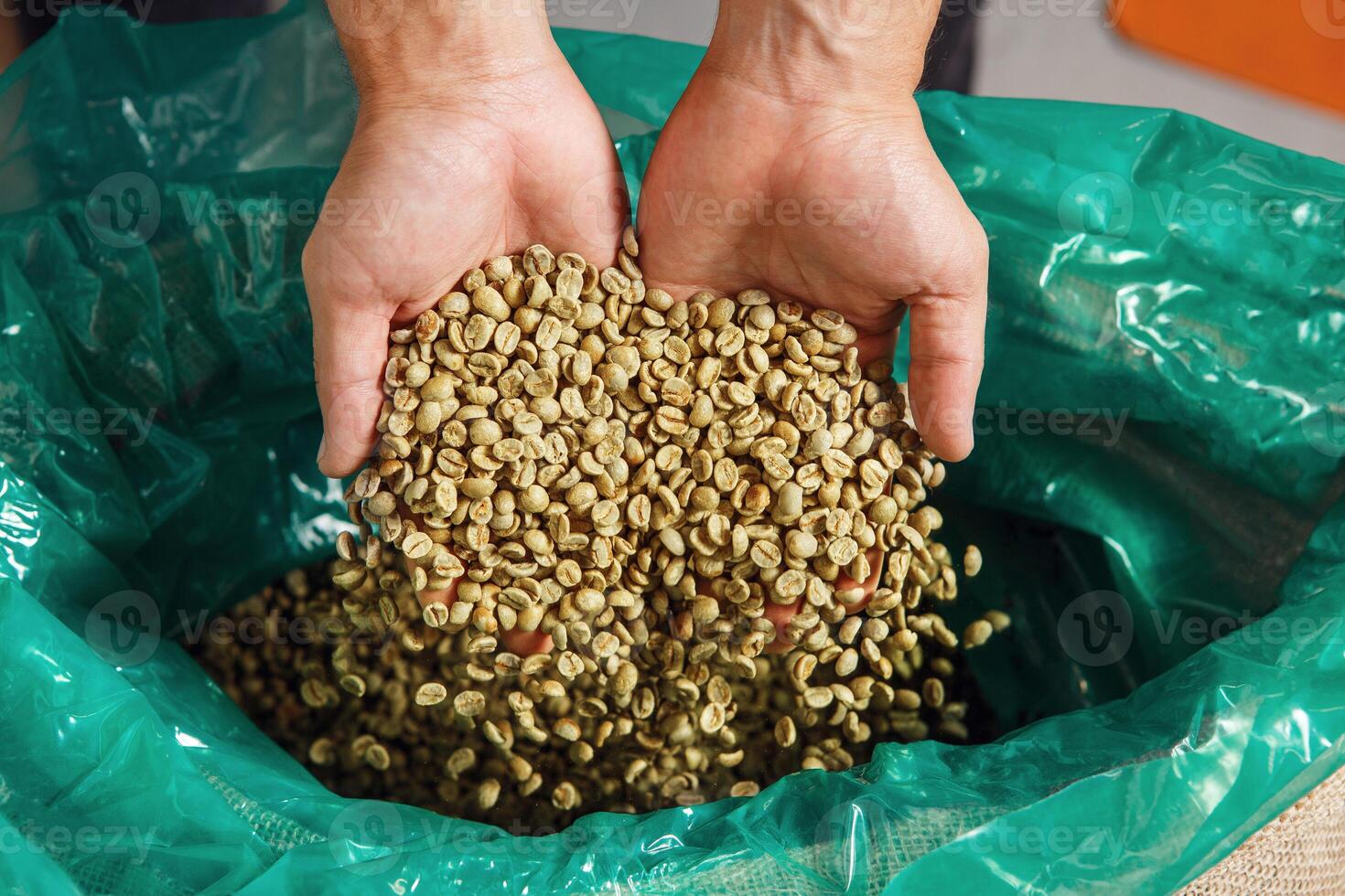 Freshly Harvested Green Coffee Beans Being Sampled From an Open Burlap Bag Held in Hands Against Vibrant Background photo