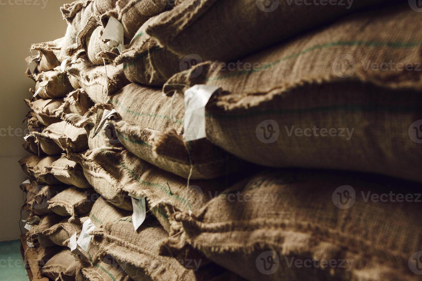 Proper Storage of Fresh Green Coffee Beans in Burlap Bags to Maintain Optimal Temperature and Humidity Conditions photo