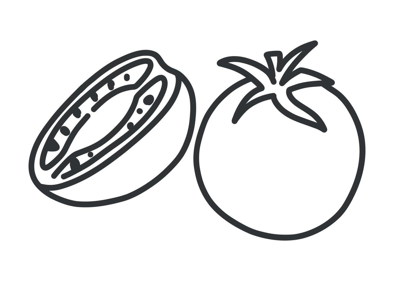 Black and white line doodle illustration of two tomatoes, one whole with a stem and one sliced showing seeds. Minimalist hand drawn vegetable design, isolated on white background. vector