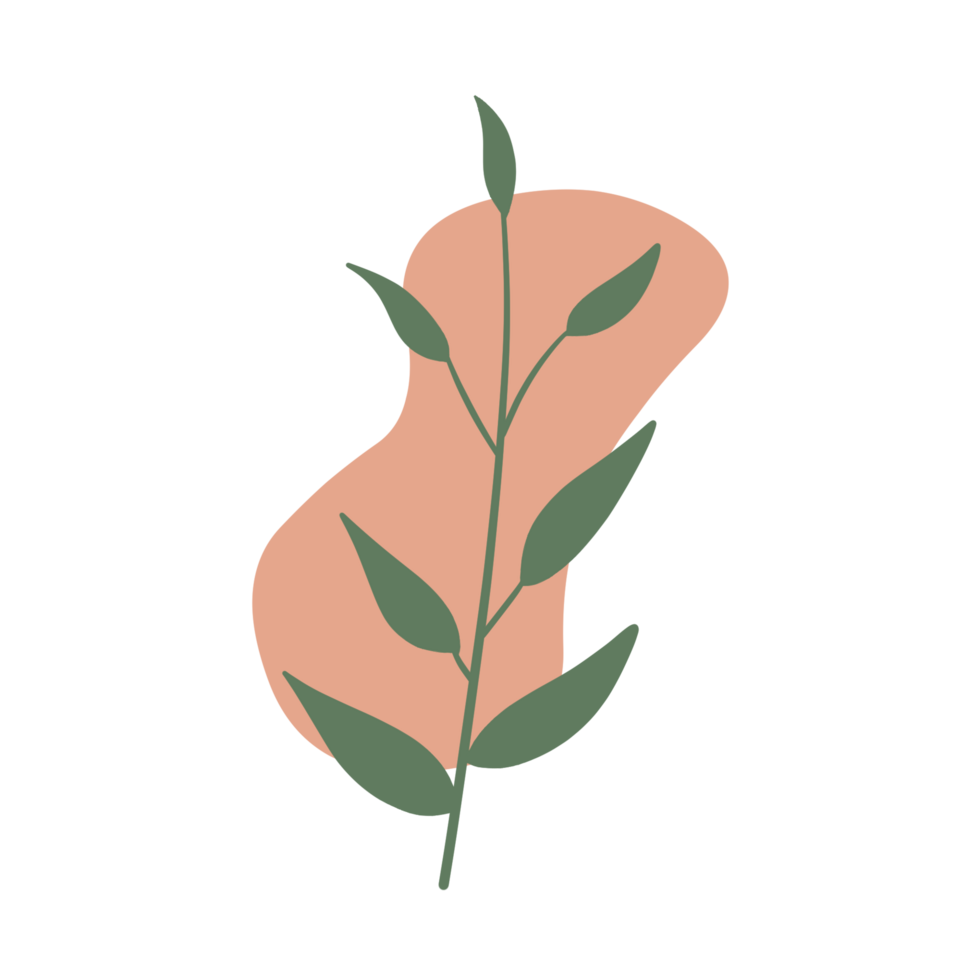 cute and aesthetic boho illustration with leaves and blob png