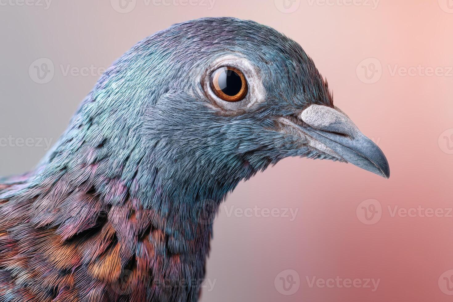 Close-up of a bird's head showcasing iridescent plumage with shades of blue, purple, and brown. The eye is prominent, and the beak is pointed. Background is smooth and neutral photo