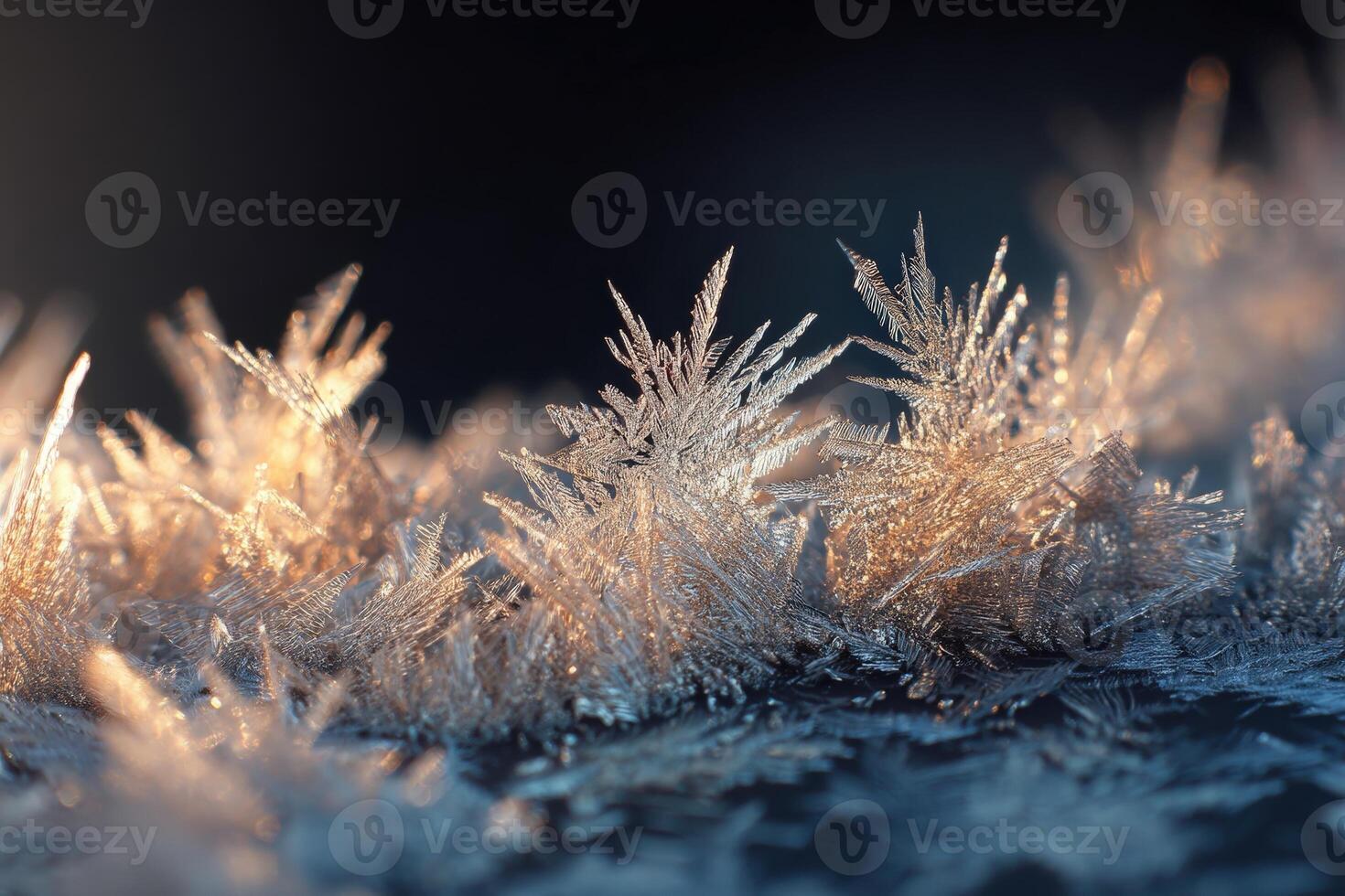 Intricate frost crystals glow in warm sunlight, their delicate patterns glistening against a cool backdrop. The scene captures the beauty of winter in exquisite detail photo