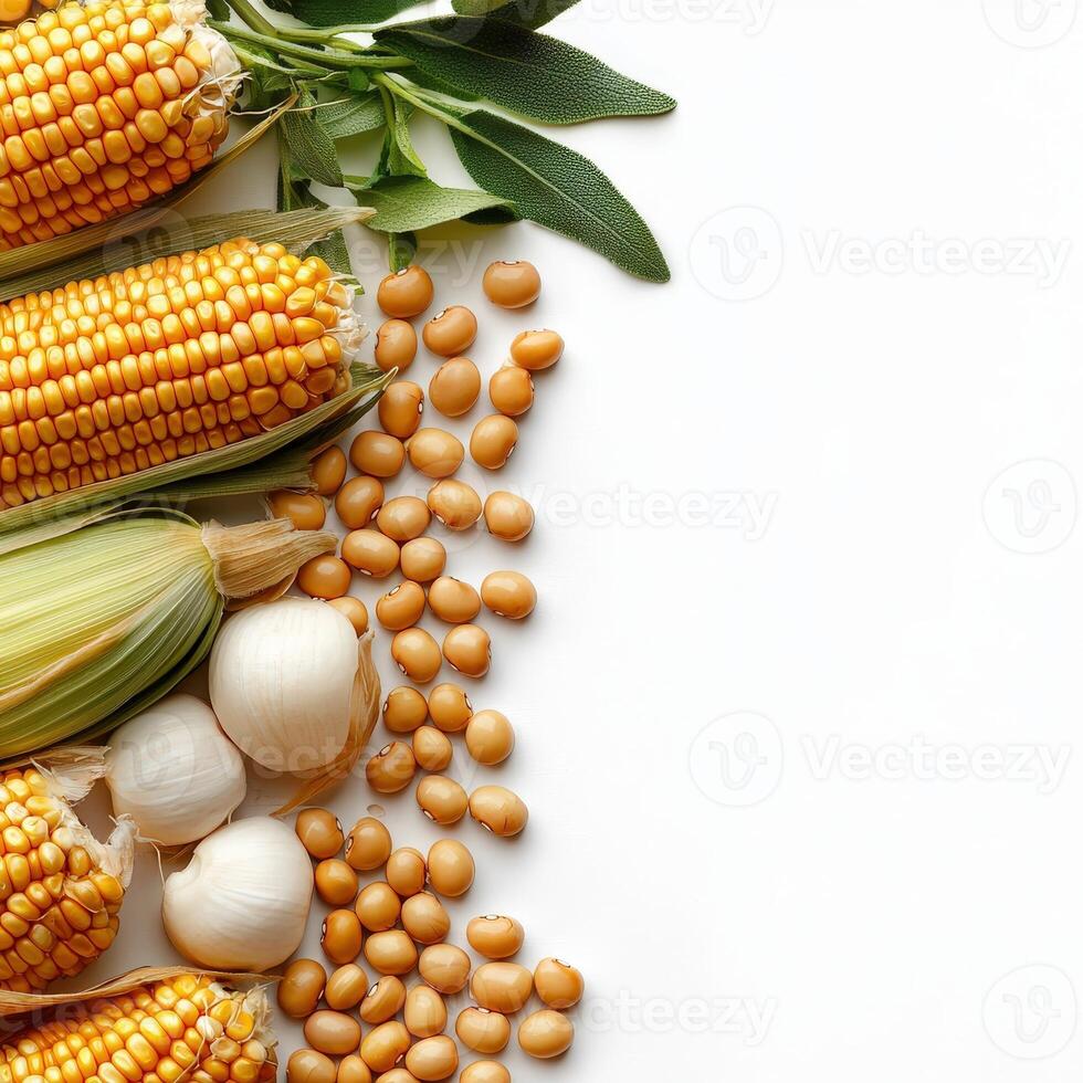 Corn, beans, and other vegetables on a white background photo
