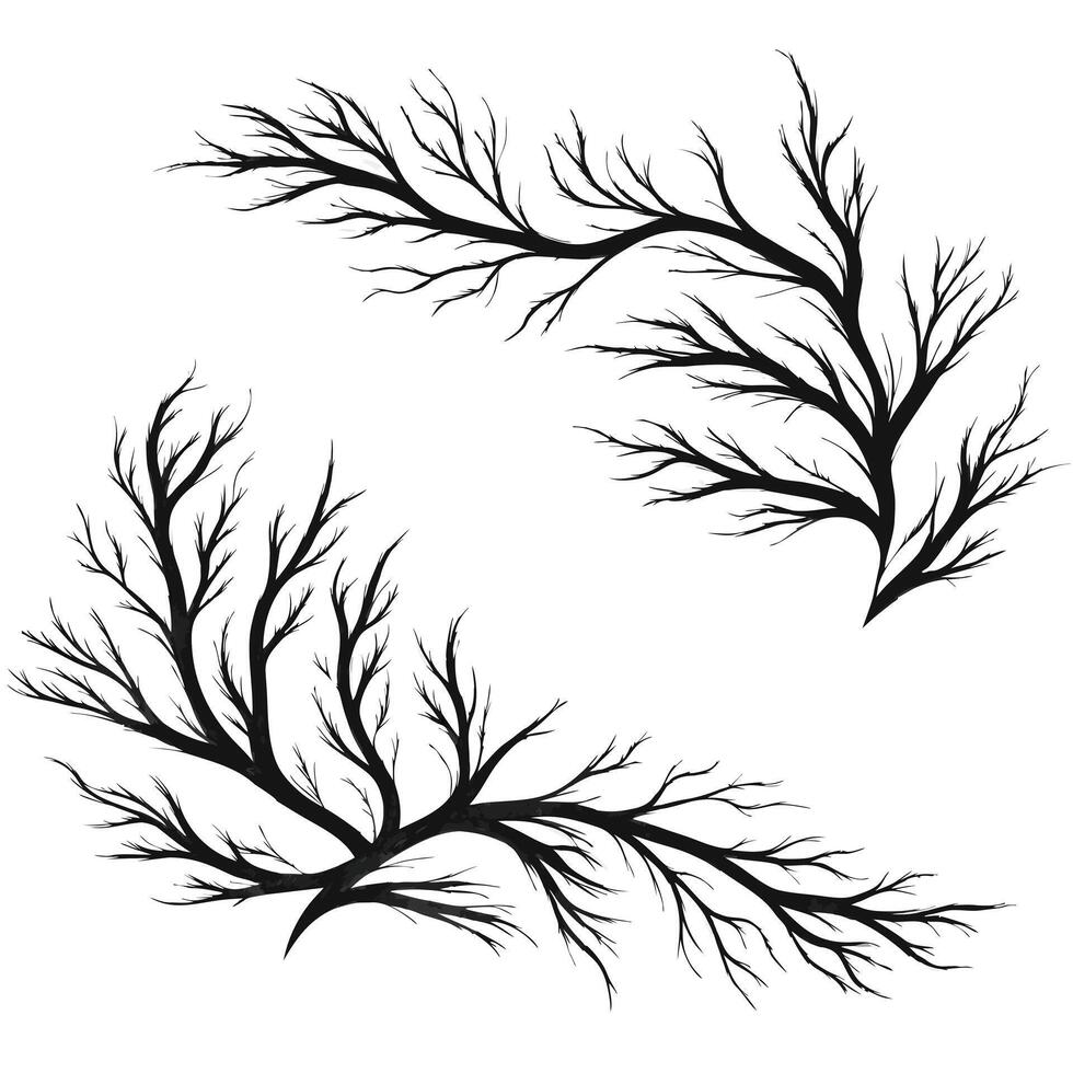 Ornate Branch Illustration vector