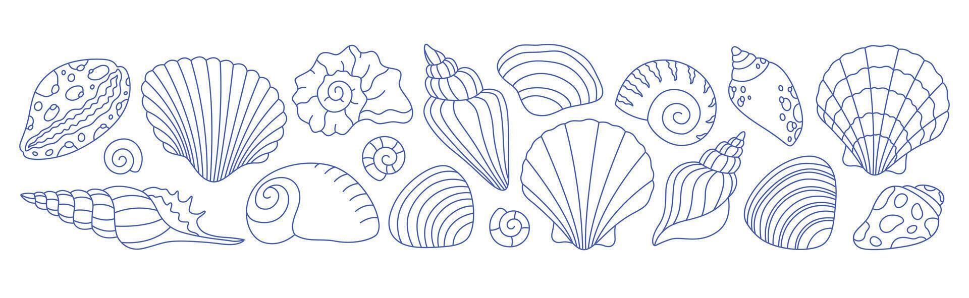 Doodle outline collection of seashells, mollusks, sea snails. Tropical beach shells vector