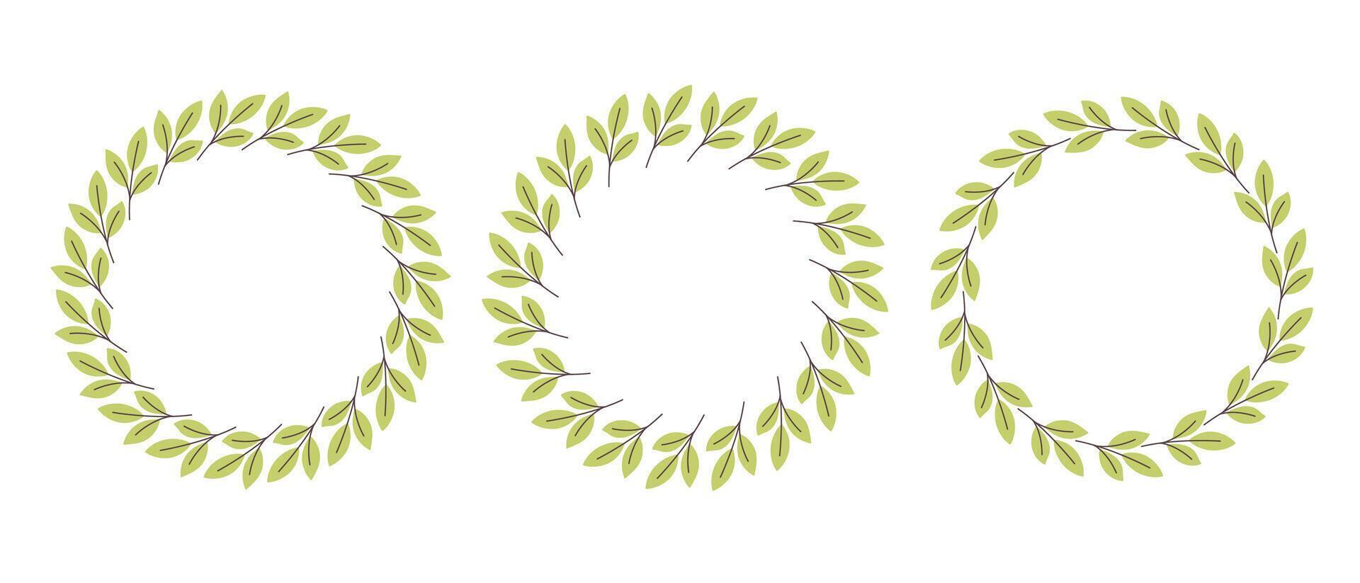 Gently simple flower circle frame. Hand drawn botanical round border, green branches wreath, laurel. vector