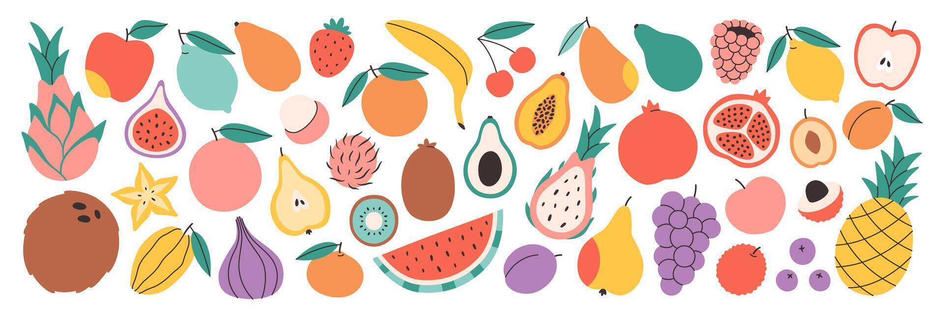 Set of different fruits and berries. Collection of organic vitamins and healthy nutrition vector