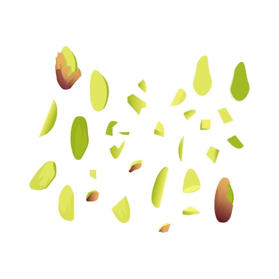 Set of pistachios whole and in pieces vector