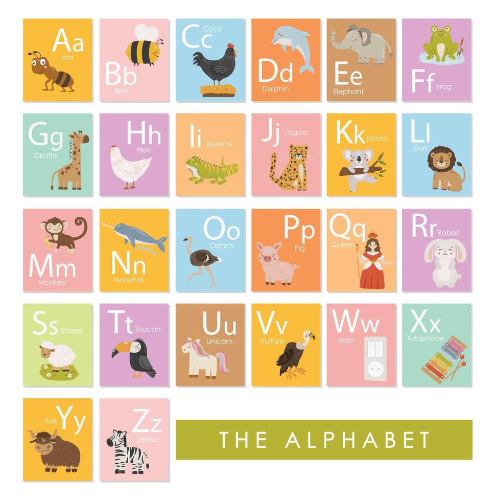 Animals alphabet illustration, educational material, for kids, kindergarten, classroom cards vector