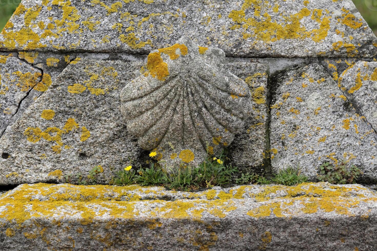 Carved stone scallop shell along the Camino pilgrimage route photo