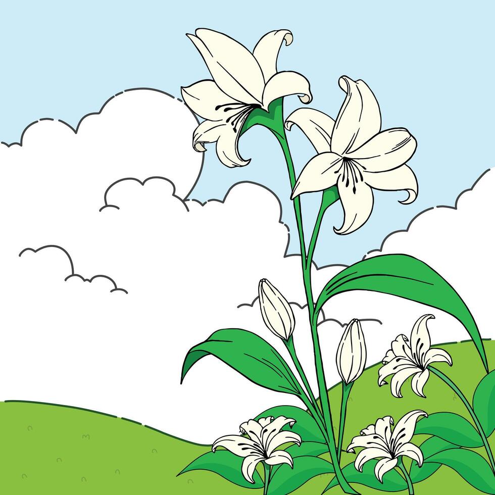 White Lilies Blooming on a Sunny Hillside, illustration with a natural concept in flat style vector