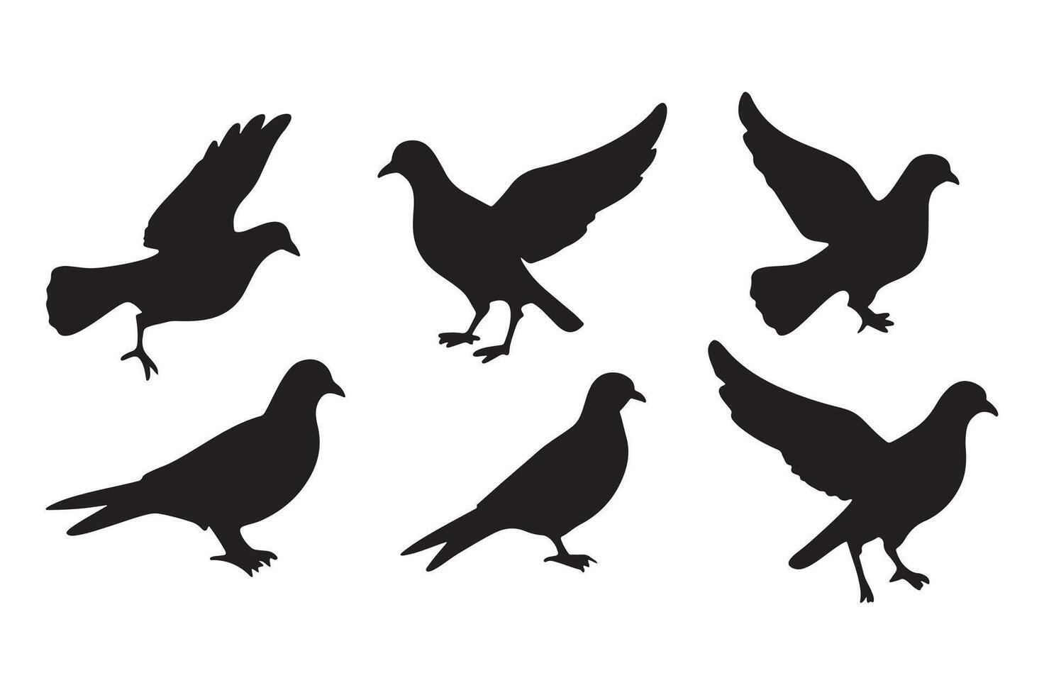 Set of silhouettes of pigeons vector