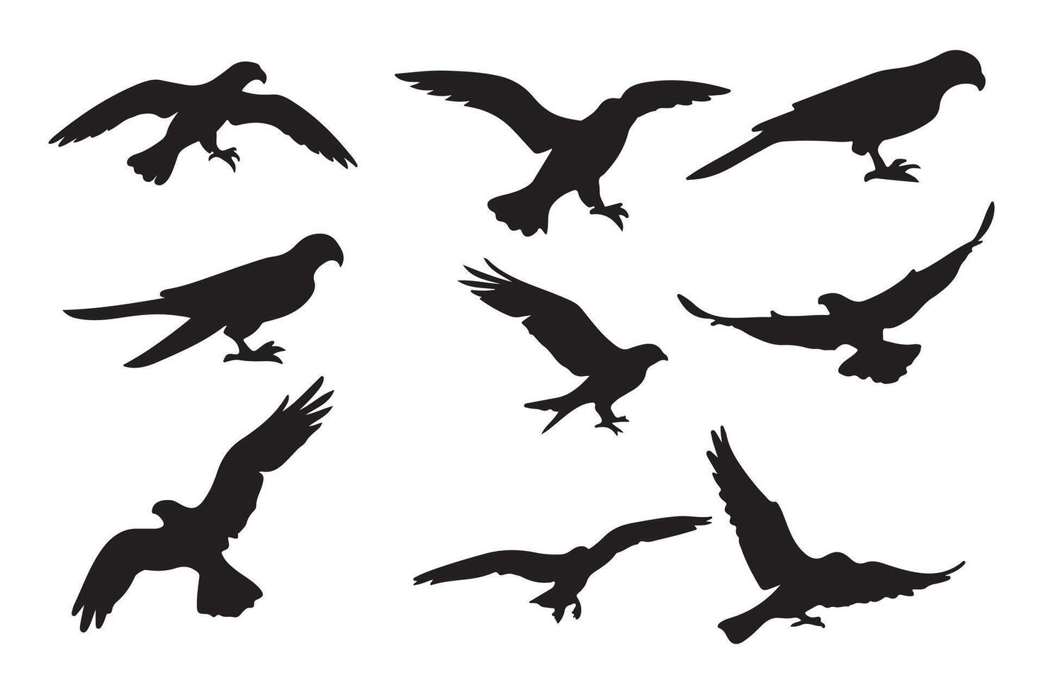 Set of silhouettes of birds in flight vector