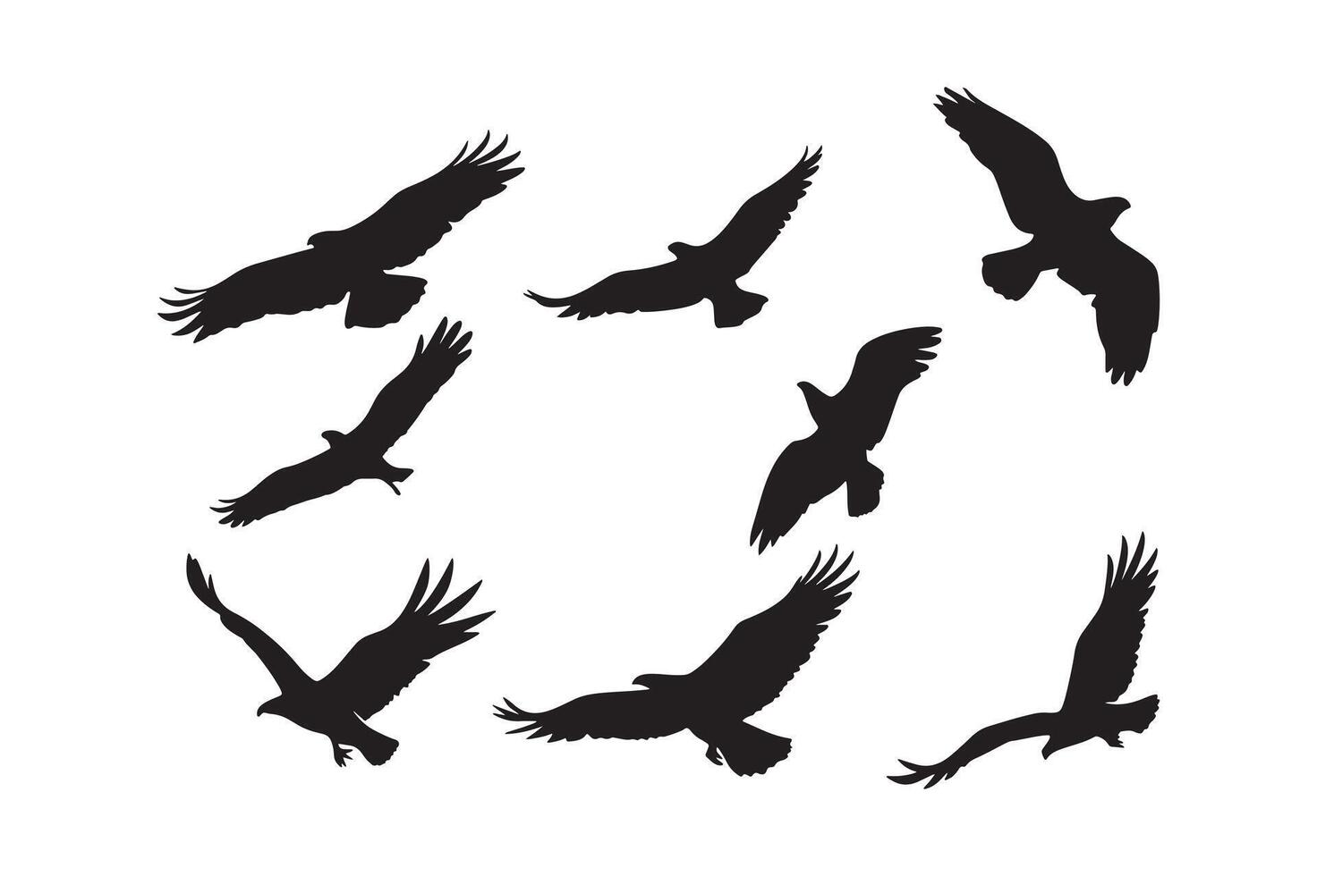 Eagle silhouette silhouette illustration vector