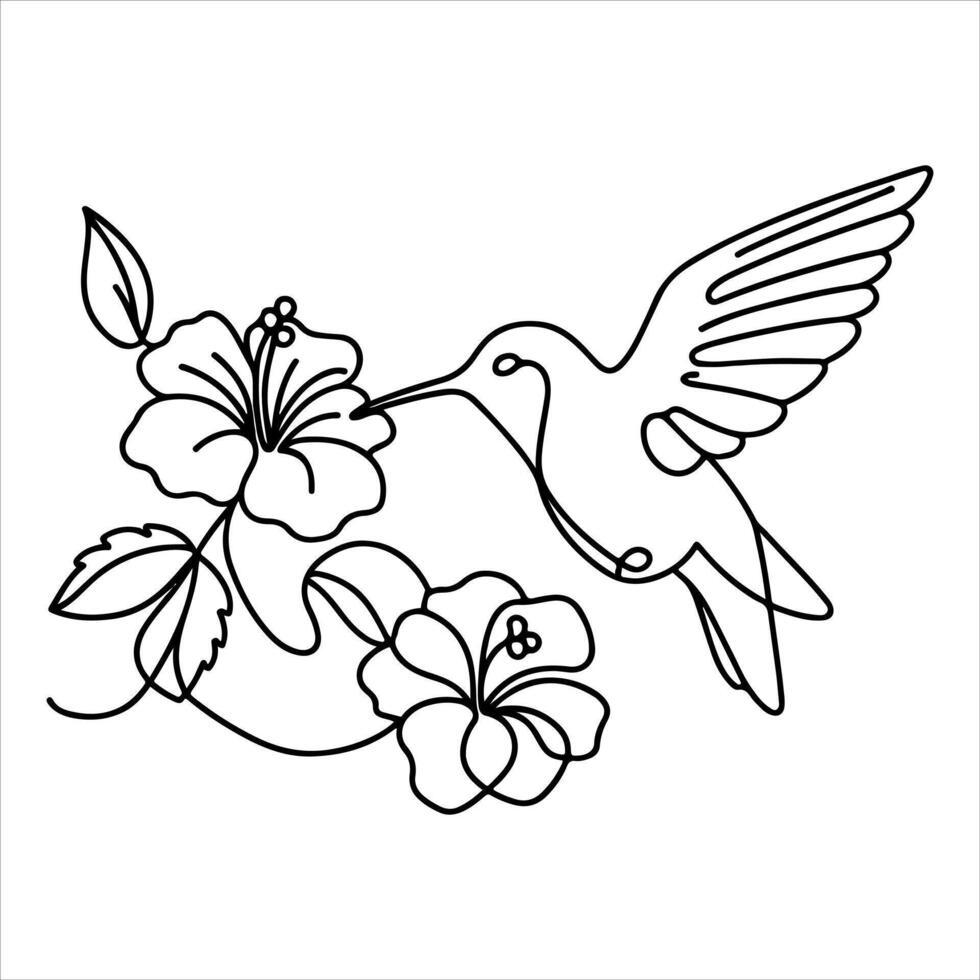 Hummingbird and flowers coloring page vector