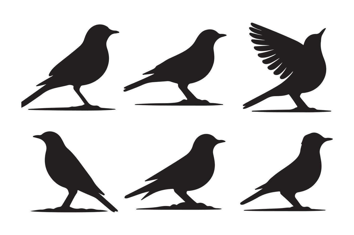 Bird silhouettes illustration vector