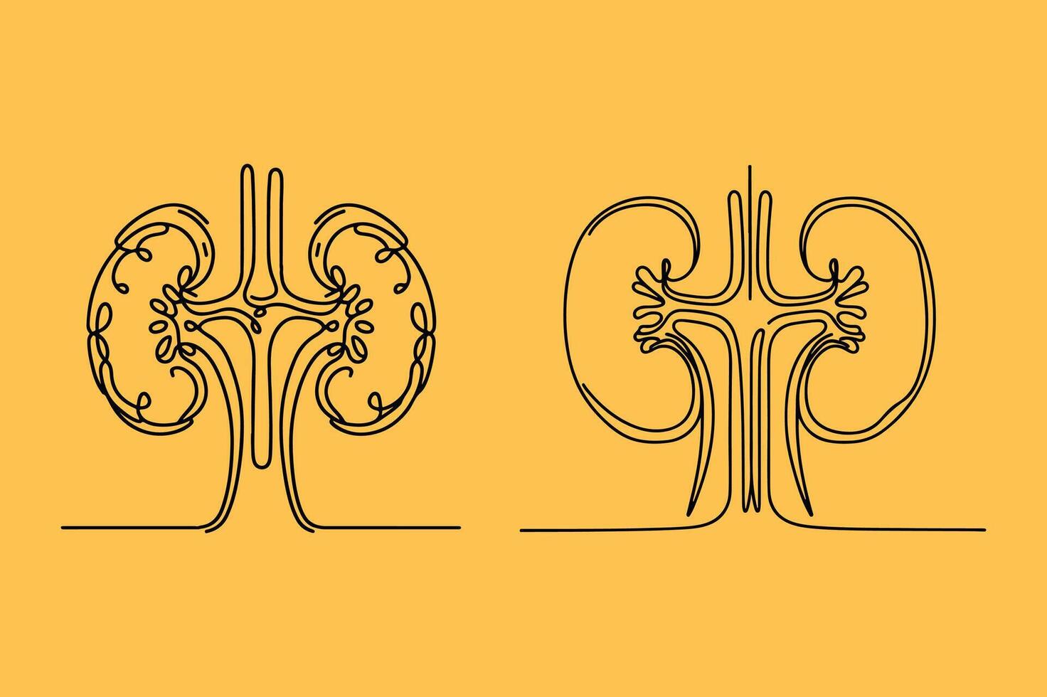 Two kidneys on a yellow background vector