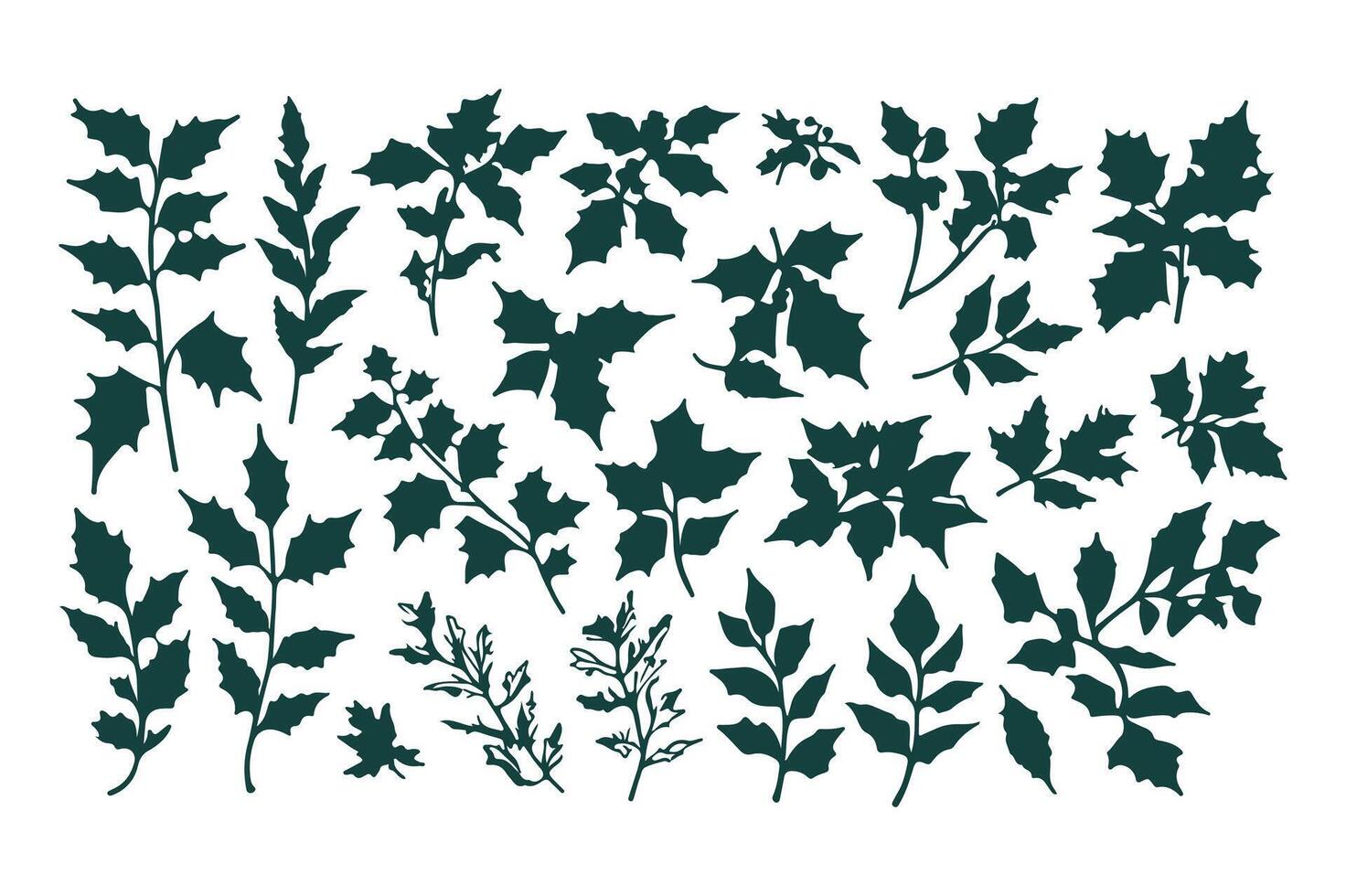Set of leaves and leaves vector