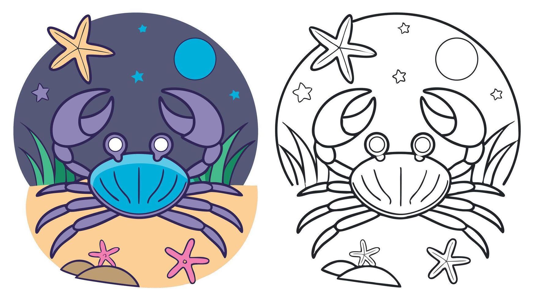 Coloring page with crab and starfish vector