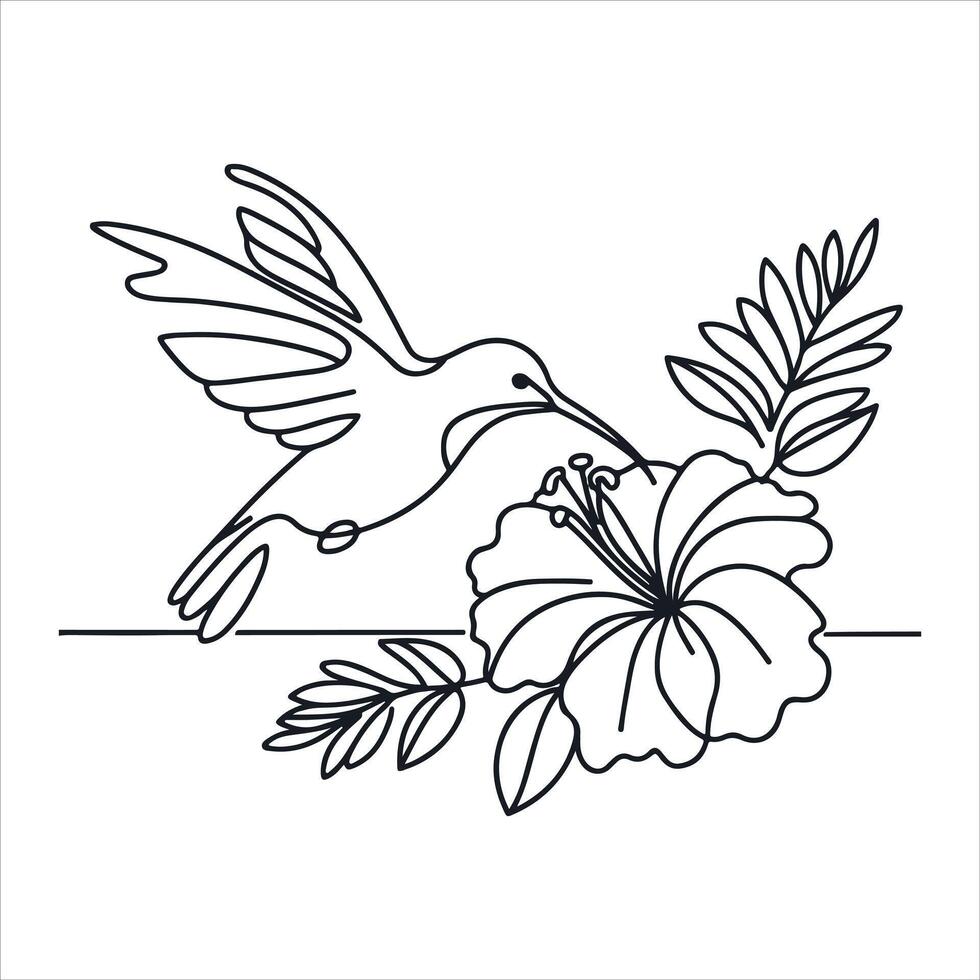 Hummingbird with hibiscus flower line art vector