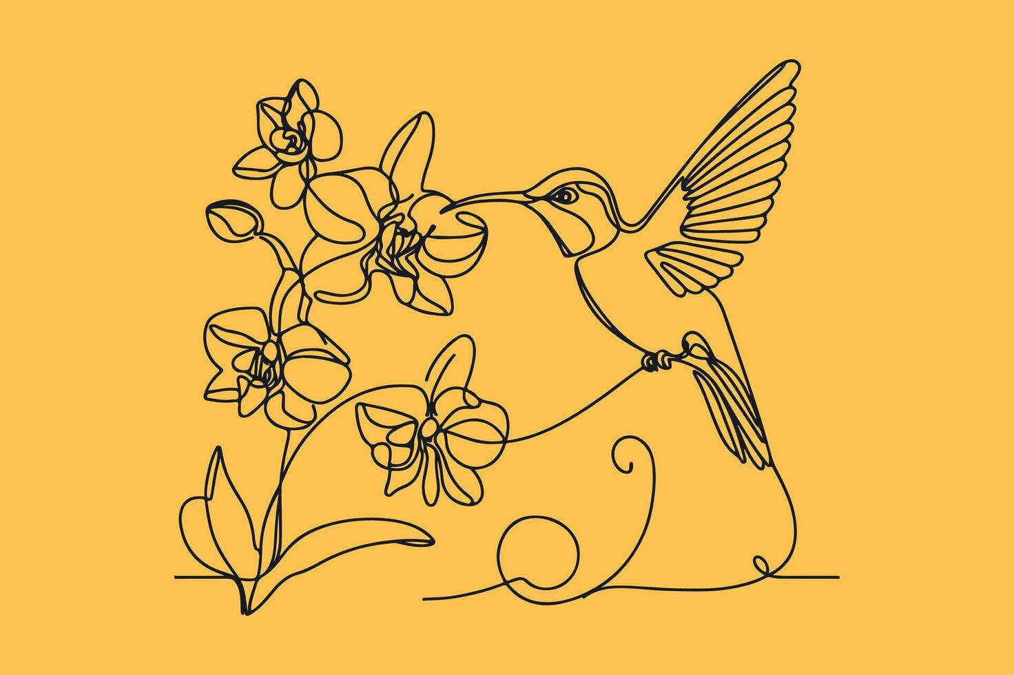 Continuous line drawing of a hummingbird feeding on orchids vector