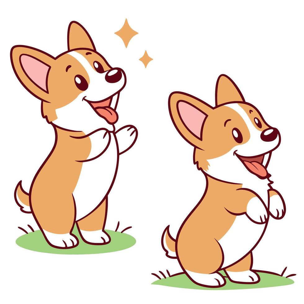 Corgi dog illustration vector