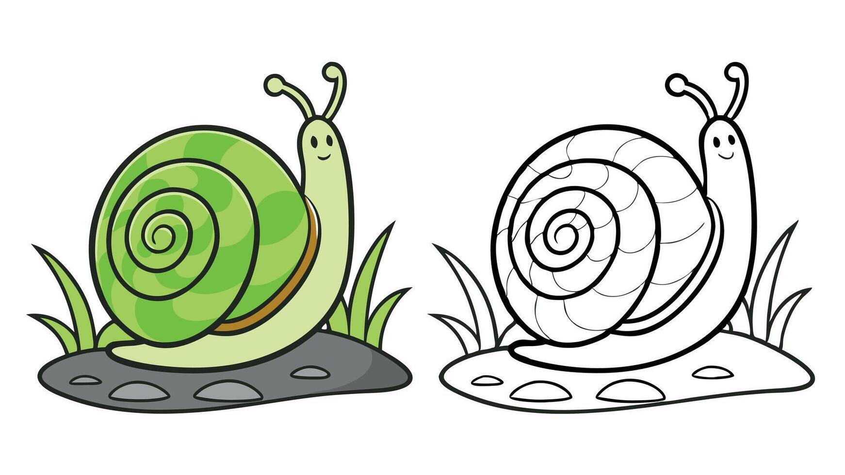 Two cartoon snails on a rock vector