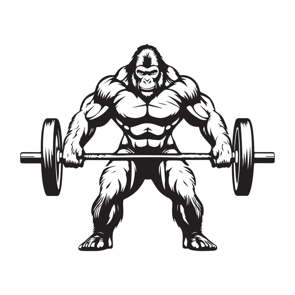 Gorilla Lifting Stock Illustrations on white background vector
