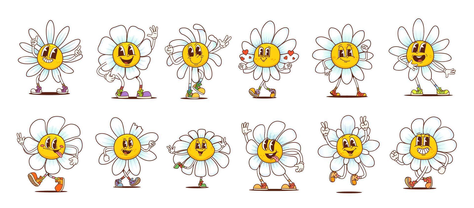 Groovy daisy chamomile or daisy flower characters vector