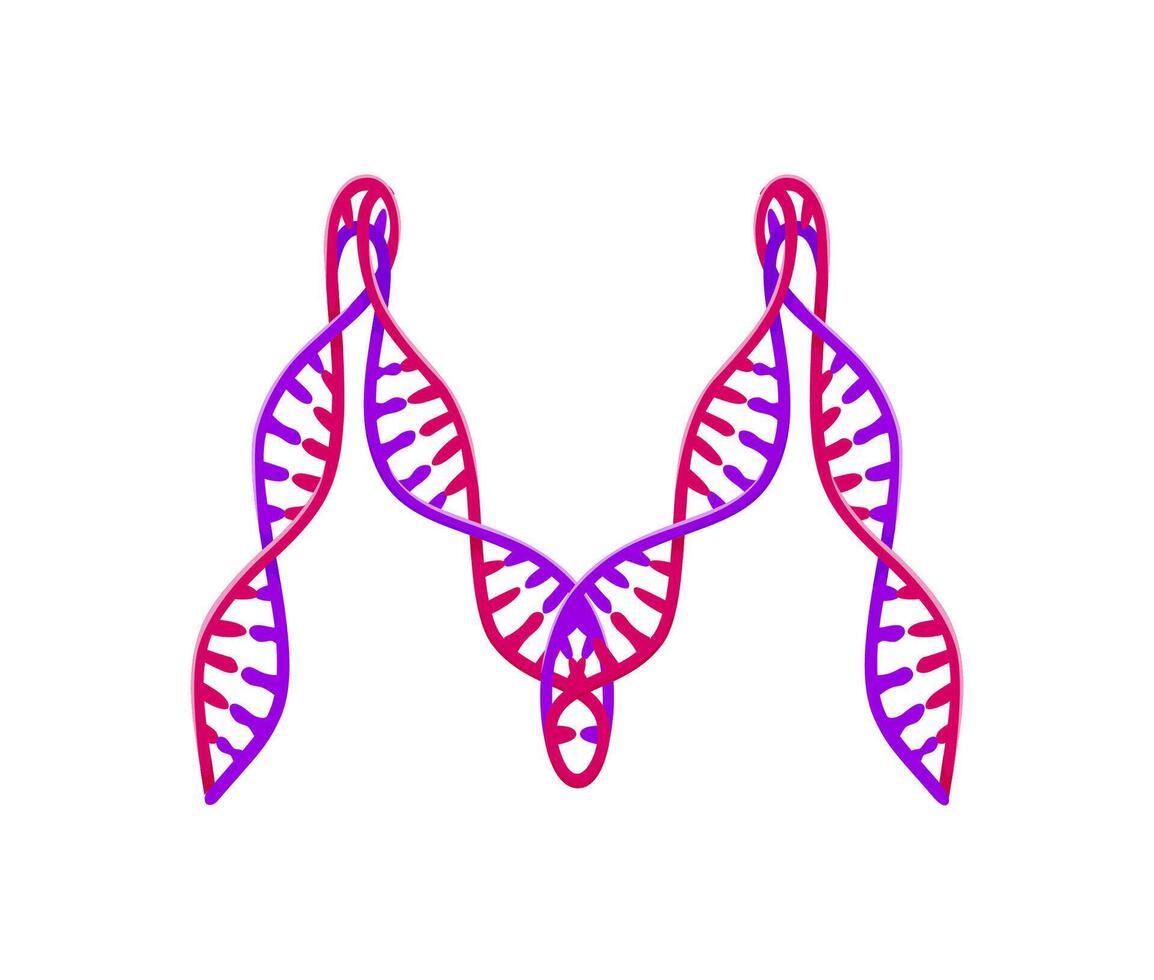 Healthcare cartoon font DNA molecule letter M vector