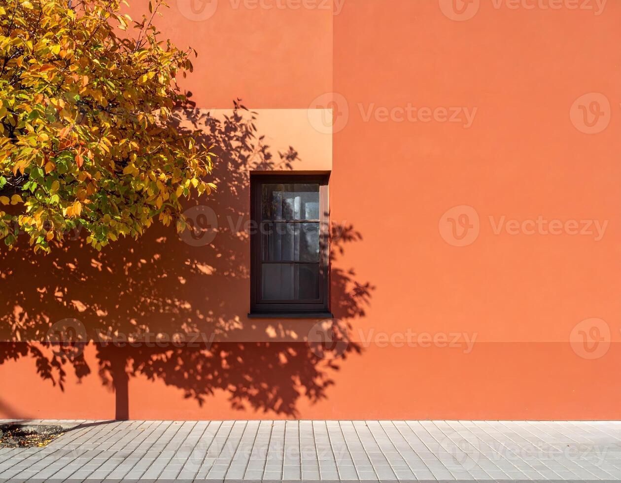 Tree casting shadow on orange building facade with single window during sunny autumn day photo