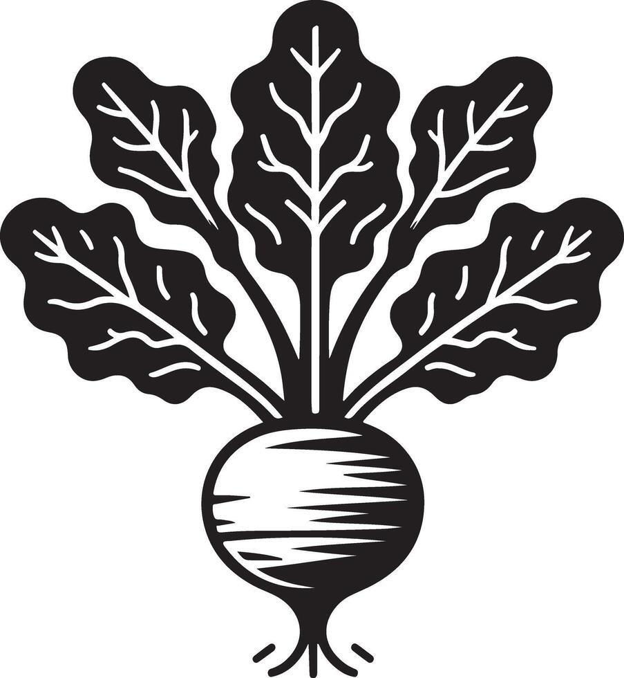 a black and white illustration of a beetroot vector