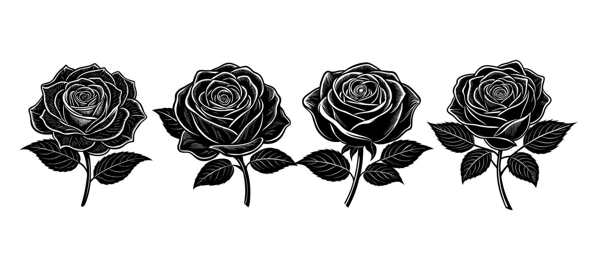 Rose flower silhouette white background vector