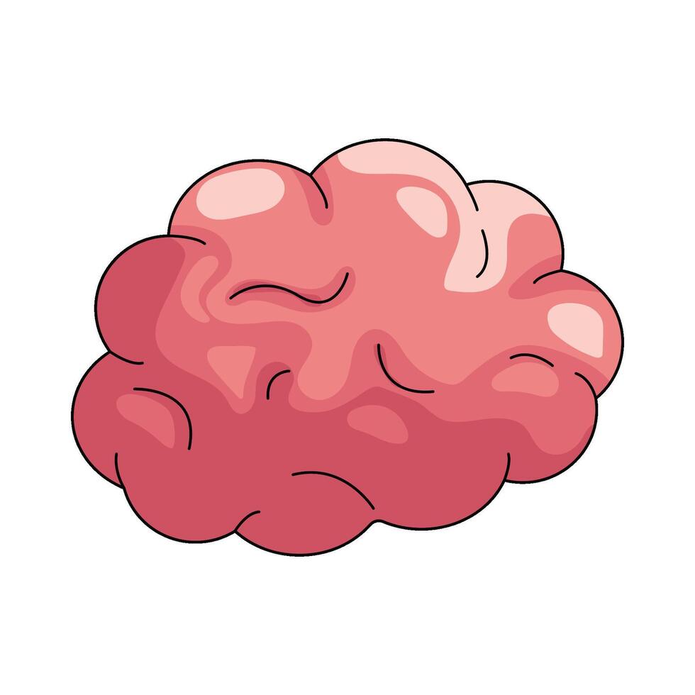 Illustration of Human Brain orhgan vector