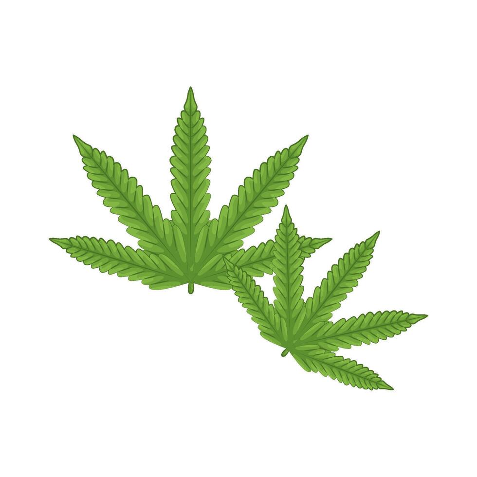 Illustration of Cannabis vector