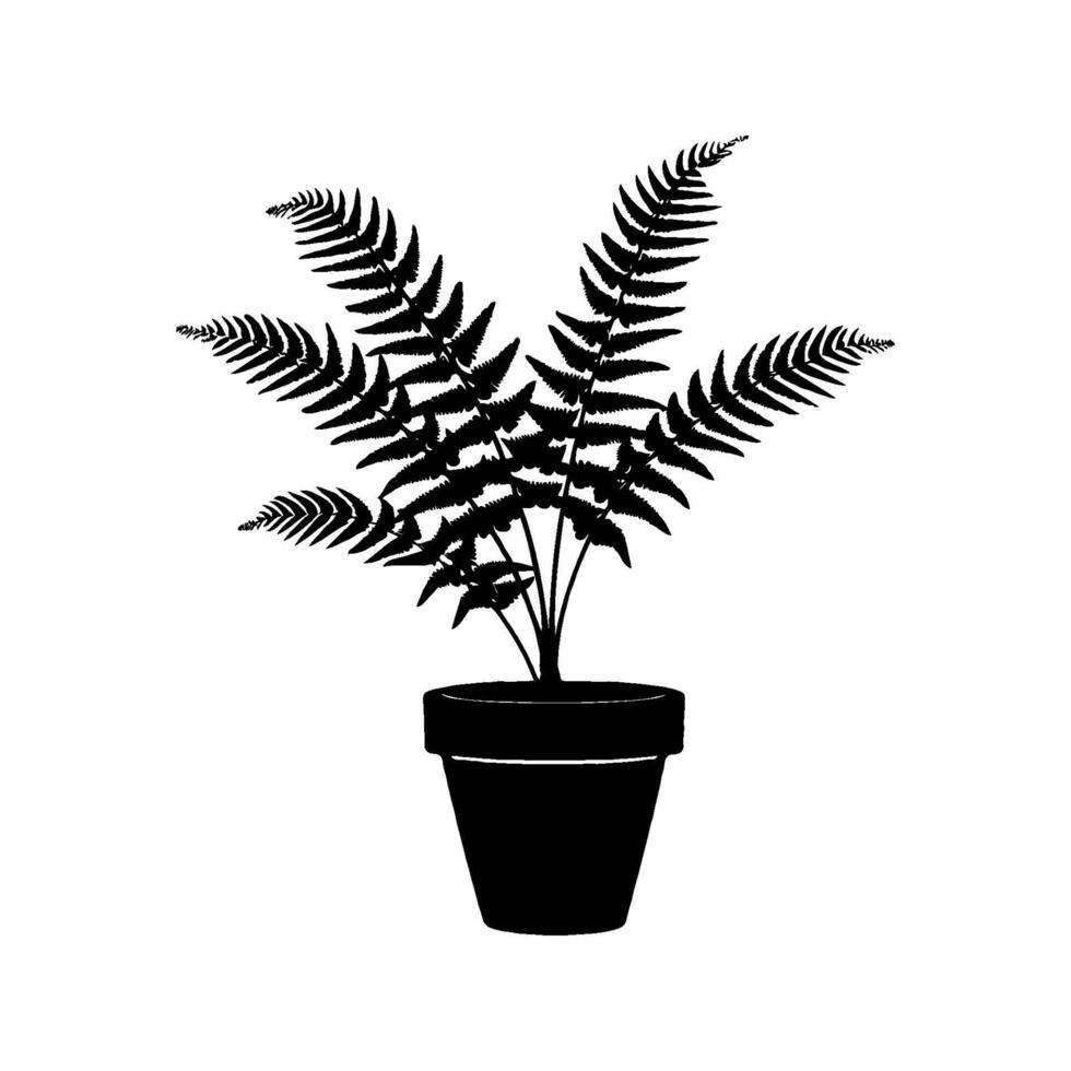 Silhouette of a fern Plumosus Asparagus plant in a pot, minimal graphic style, isolated on white background. Concept of indoor greenery and plant decoration vector