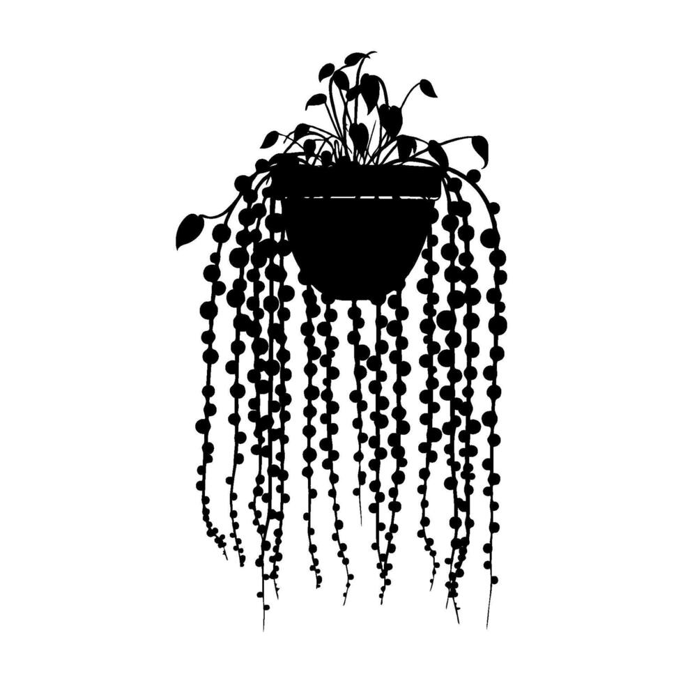 Silhouette of a hanging potted String of Pearls plant with cascading string-like vines, in a minimal monochrome graphic style, isolated on a white background vector