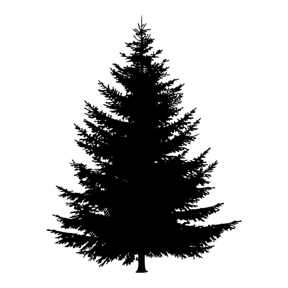 Silhouette of a Pine Tree on a White Background. illustration vector