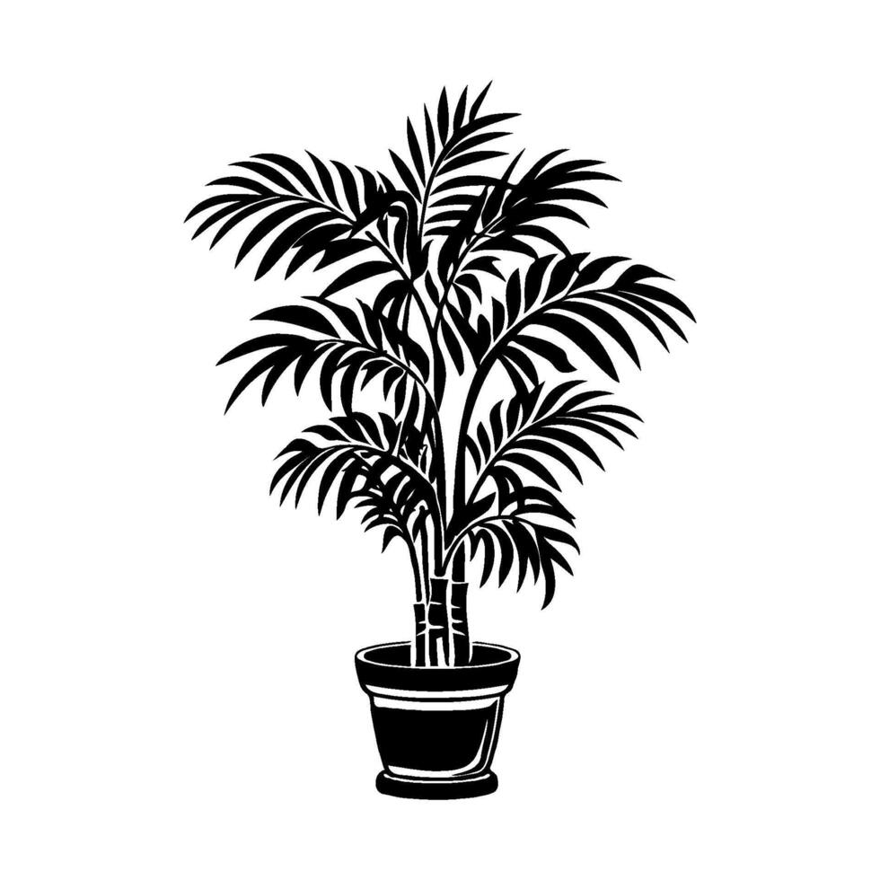 Potted palm tree Majesty Palm silhouette illustration on white background. Concept of nature vector