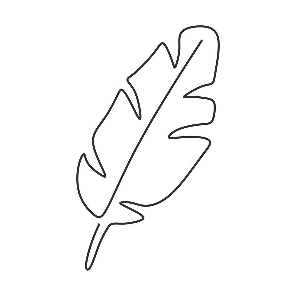 Single Line Art of Banana Leaf vector