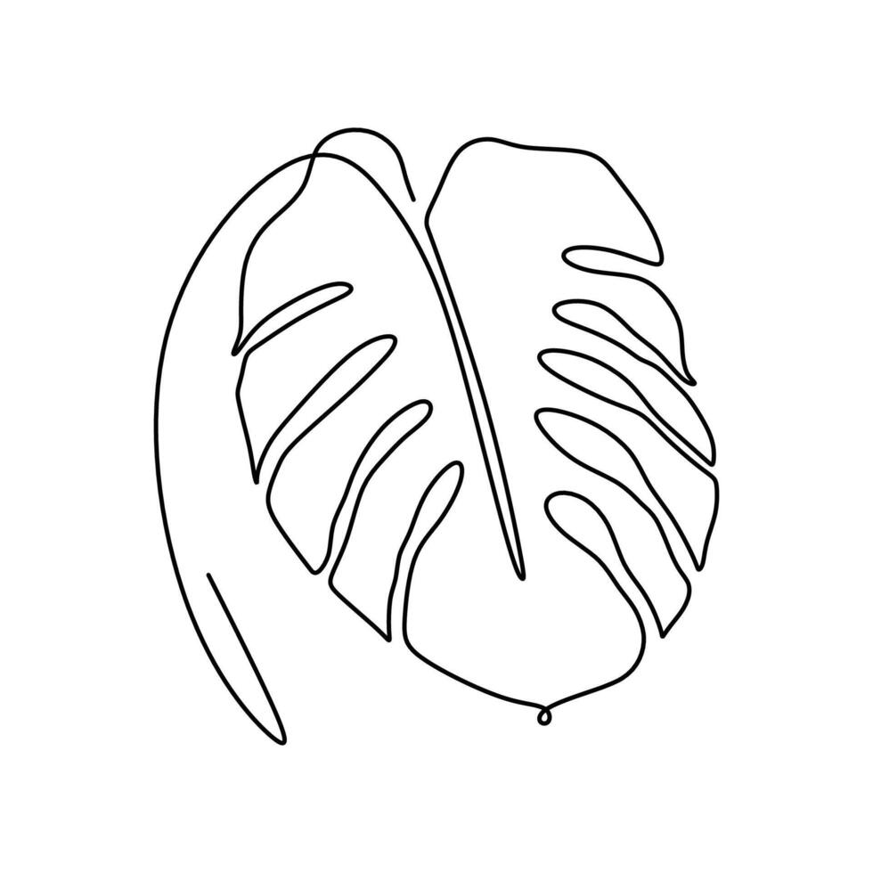Monstera Leaf Minimalist Single Line vector