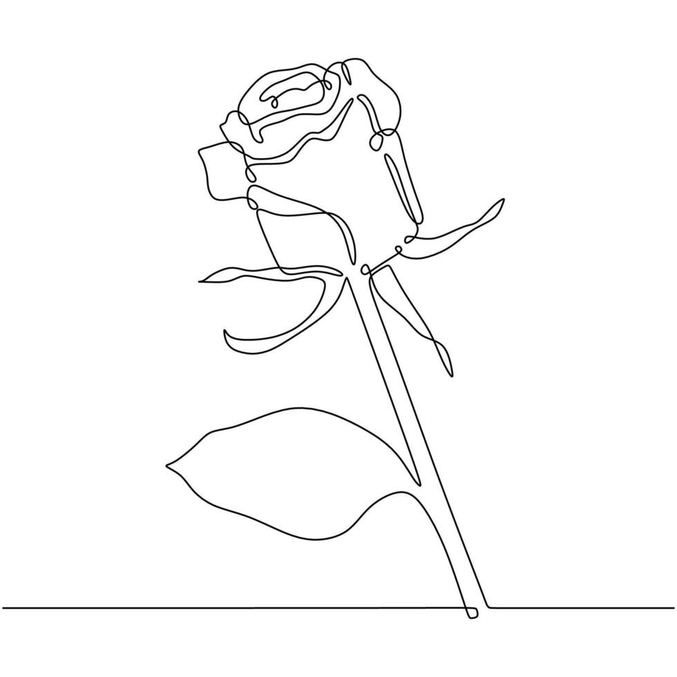 Botanical Rose One Line Art Illustration vector