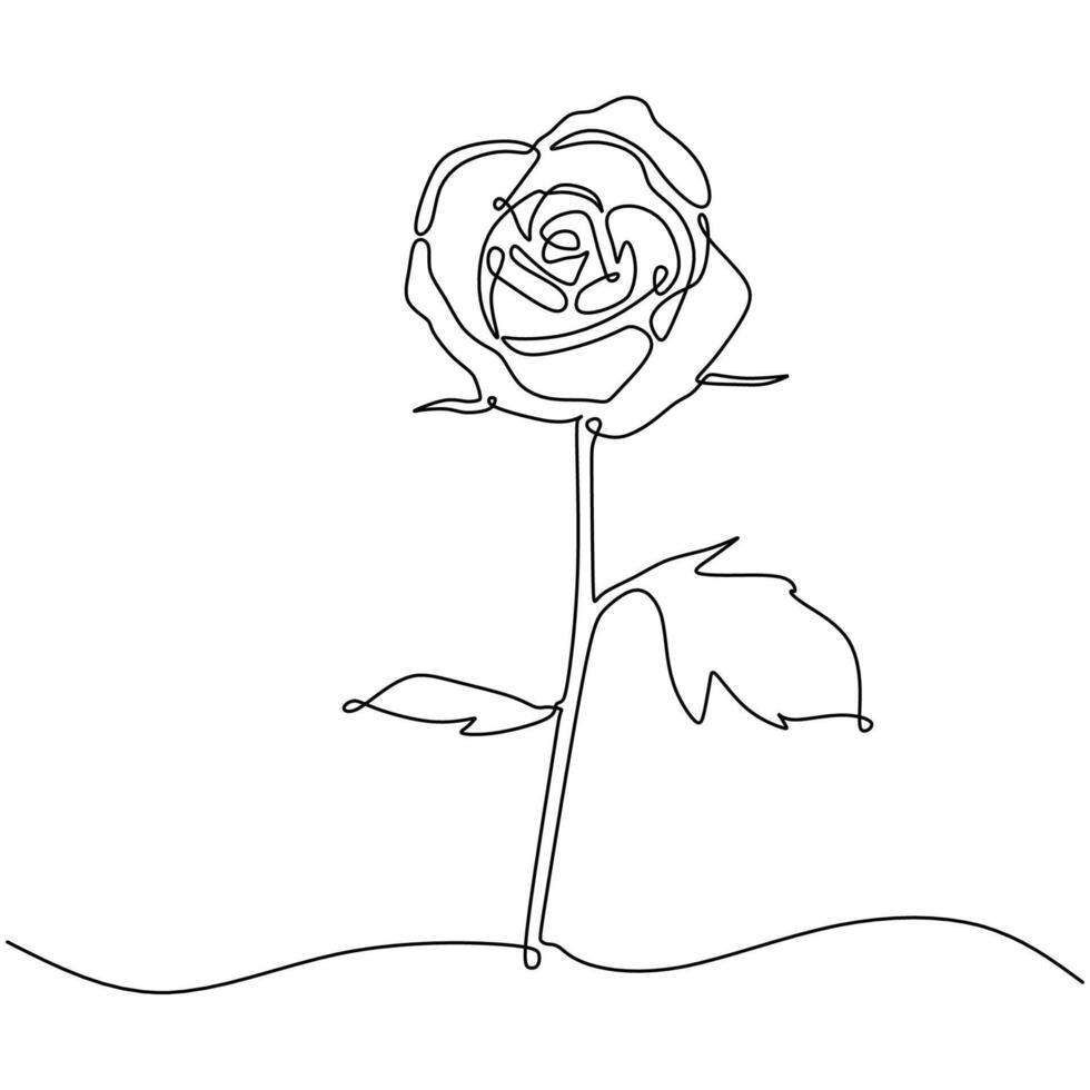 Rose Continuous Line Drawing Botanical Art vector