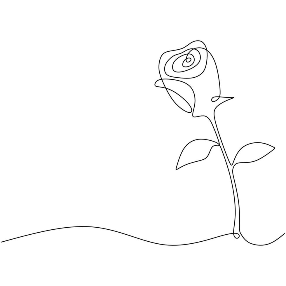 Handdrawn Rose Botanical Line Drawing vector