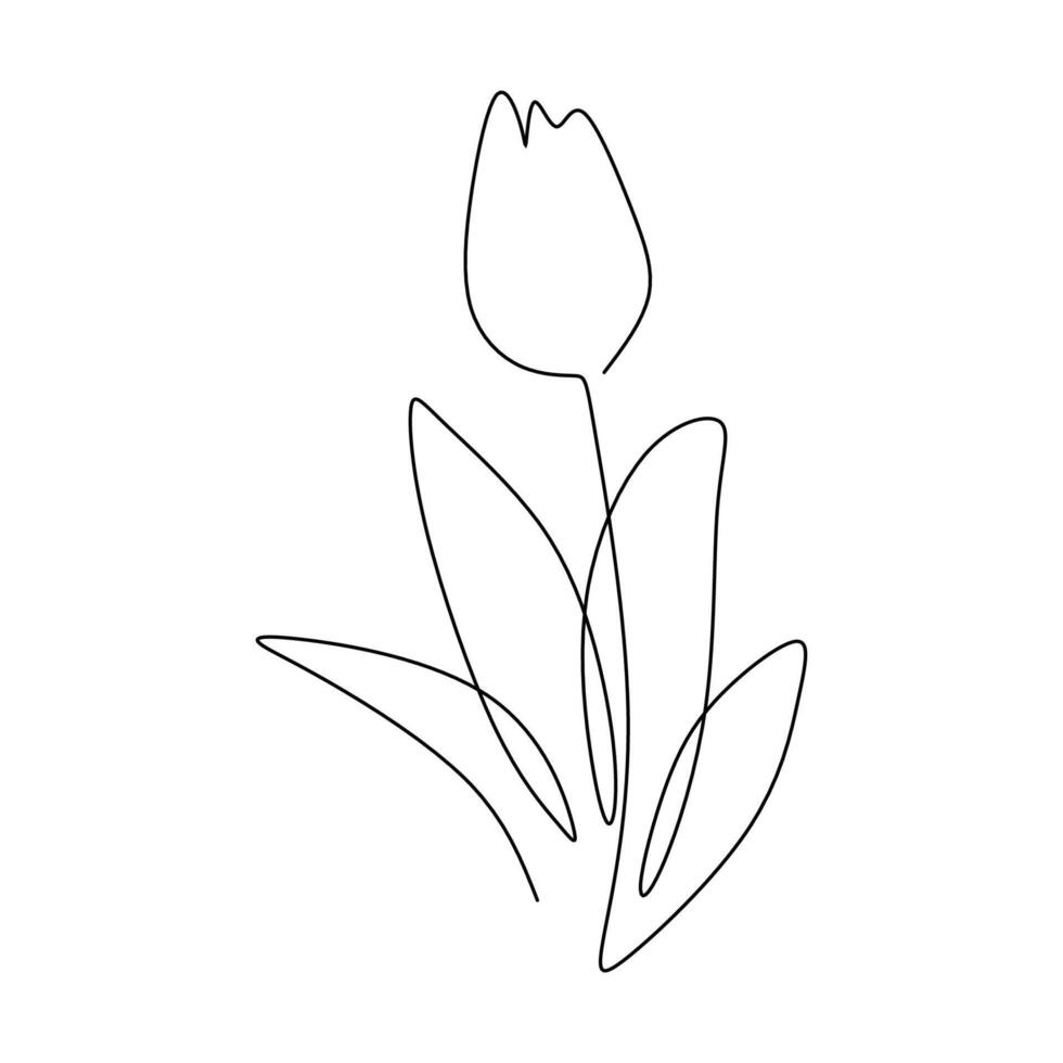 Continuous Line Tulip Plant Art Design vector