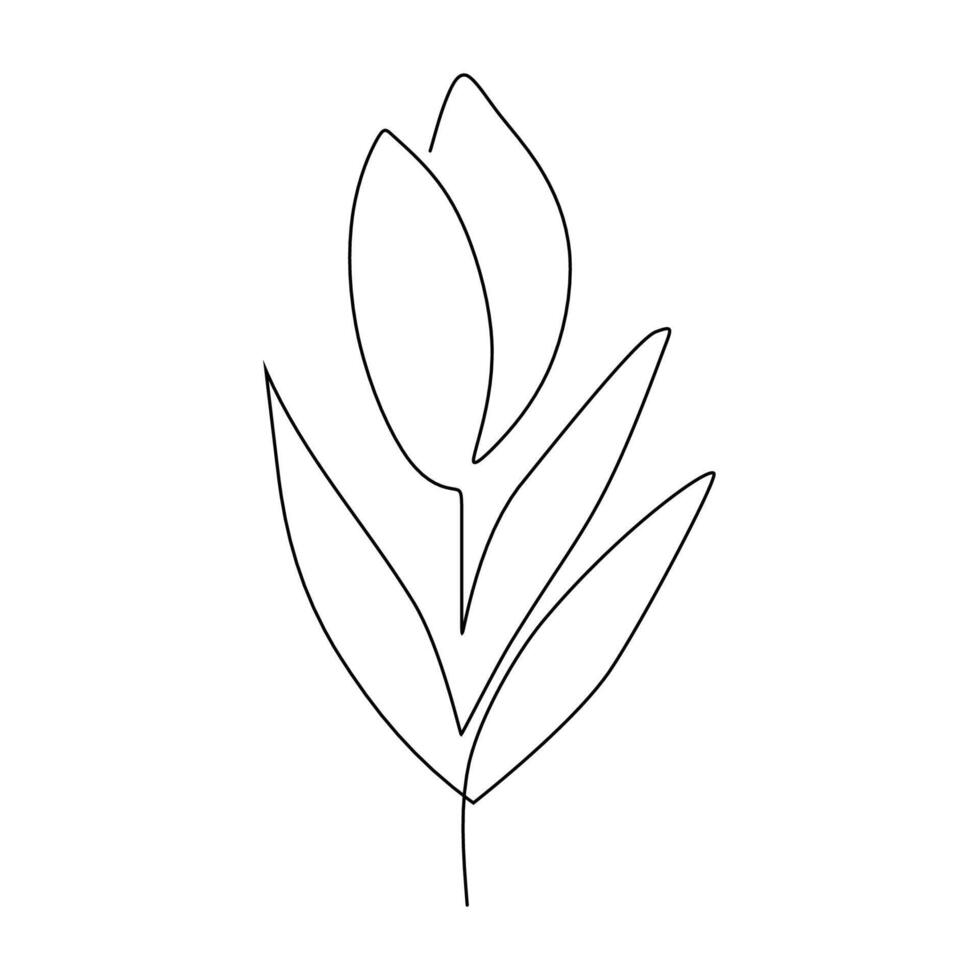 Minimalist Tulip Flower Line Drawing drawing vector