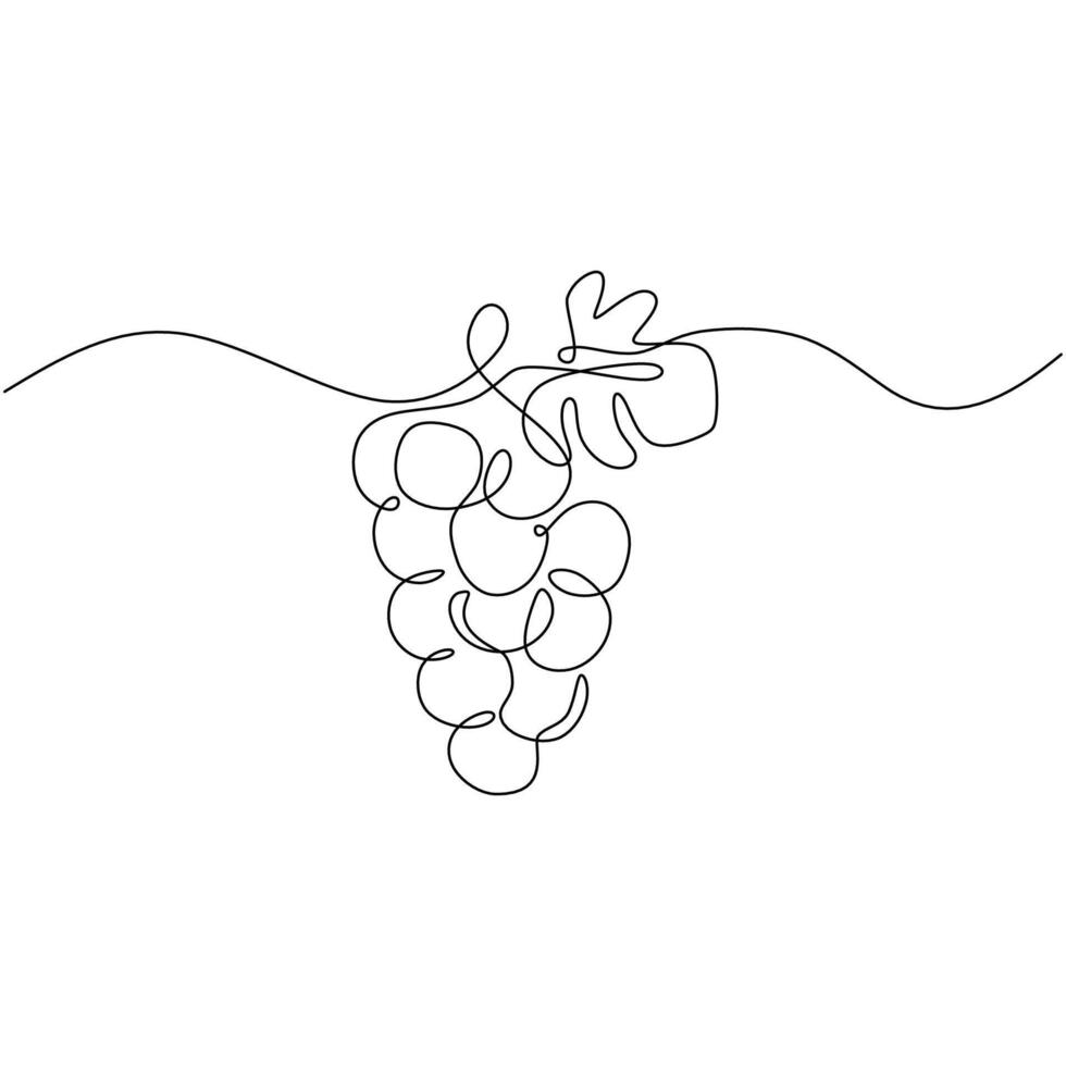 One Line Grapes Organic Nature Food vector