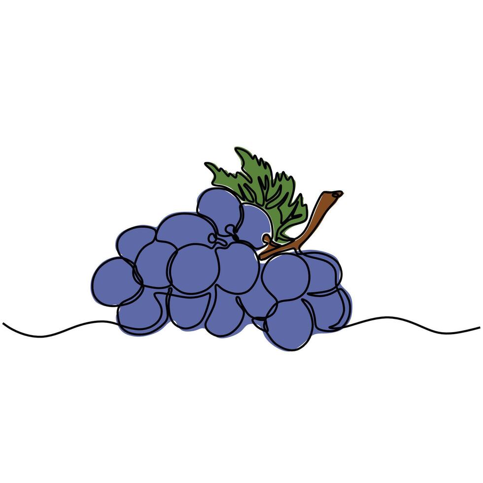 Minimalist Handdrawn Grapes Single Outline vector